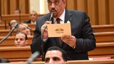النائب إيهاب إمام