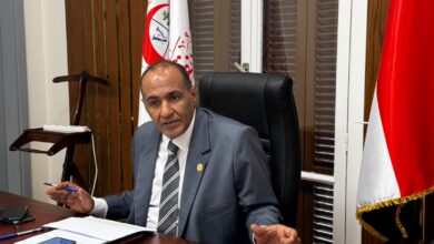 أبو بكر القاضي
