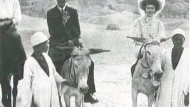 رحلات