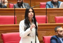 هايدي المغازي