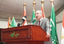 مجدي ملك