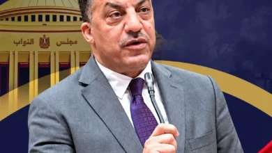 النائب فيصل أبو عريضة: رسائل الرئيس السيسي حسمت أن بقاء الدولة أهم من أي تيار.. و"حصنوا بلدكم" نداء لكل المصريين